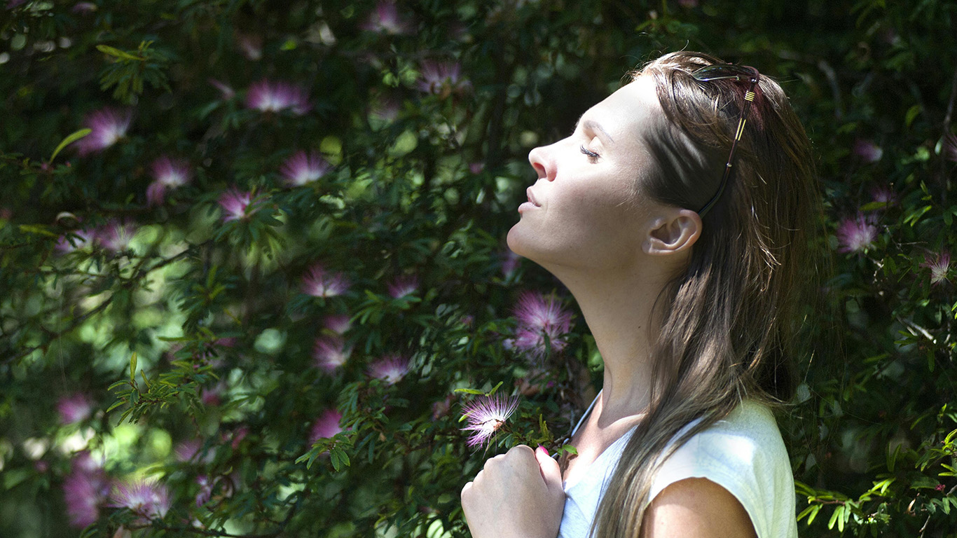 Mindfulness Ve Stres Yönetimi - Aile Danışmanı - Elmas KAYA